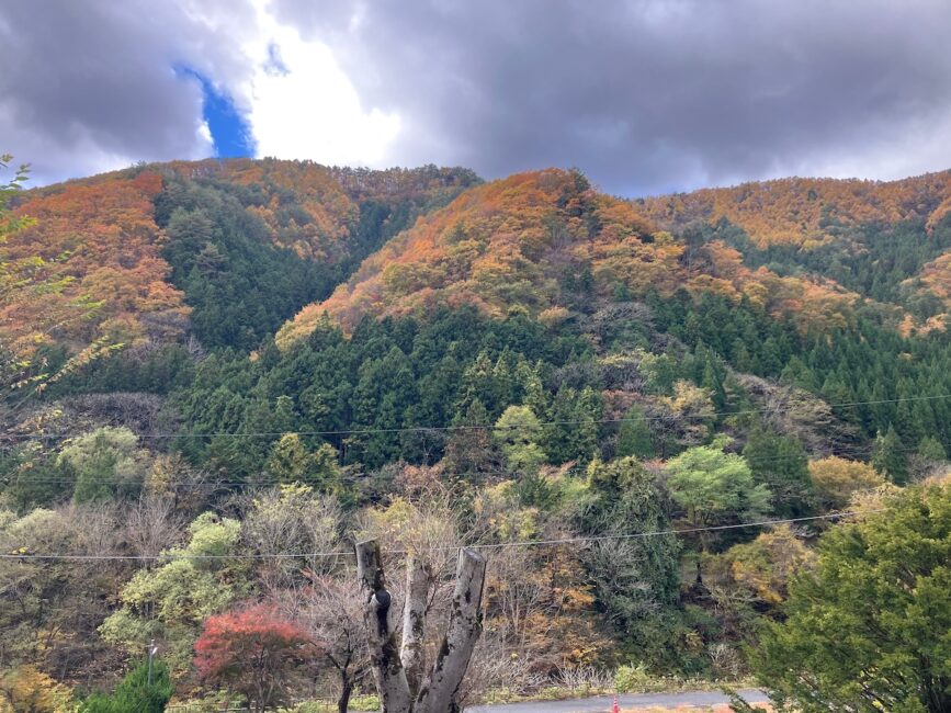 View of small mountain range from the balcony of the mountain view studio showing beautiful autumn scenery.