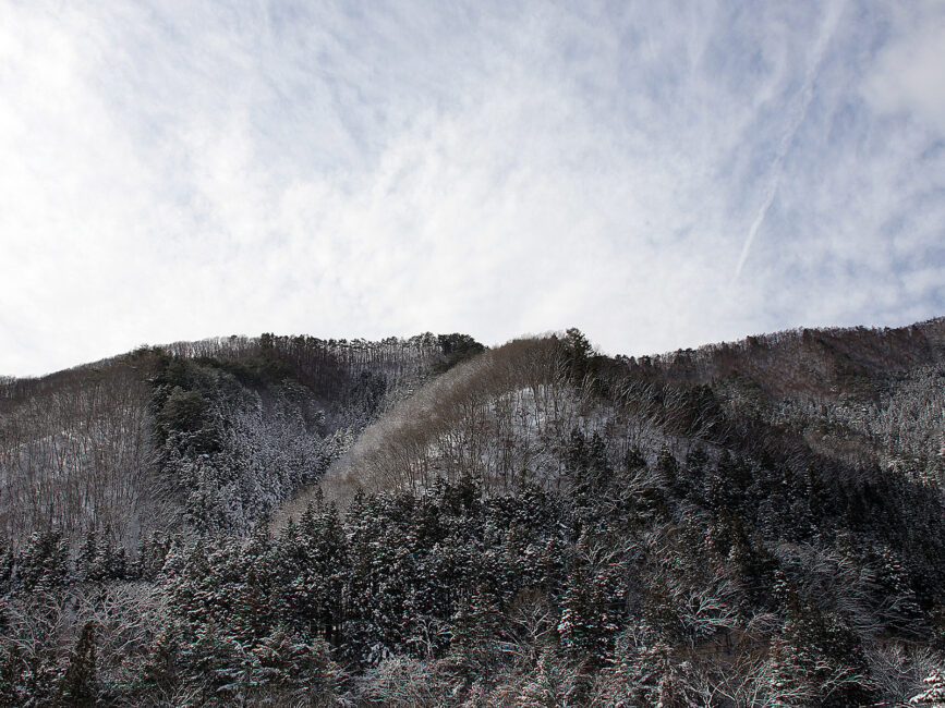 Small forested mountains in winter