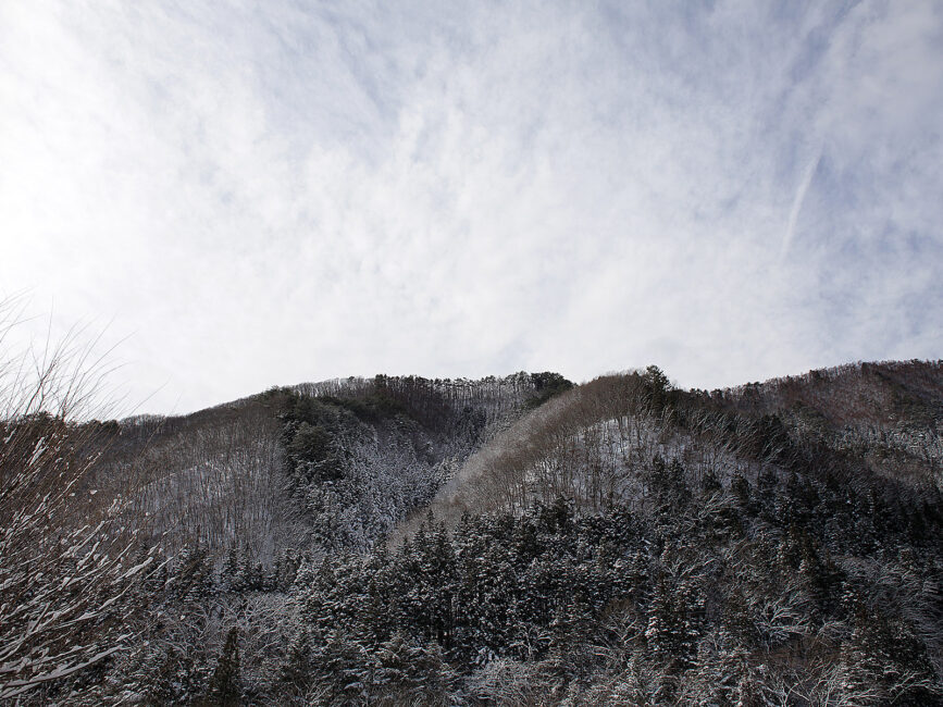 Small forested mountains in winter